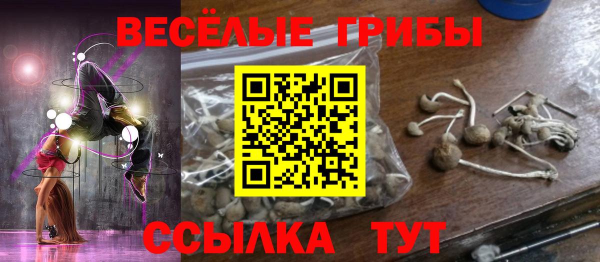 Псилоцибиновые грибы мухоморы Геленджик