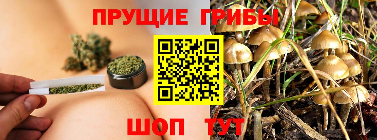 Псилоцибиновые грибы GOLDEN TEACHER  Вход с VPN  Геленджик 