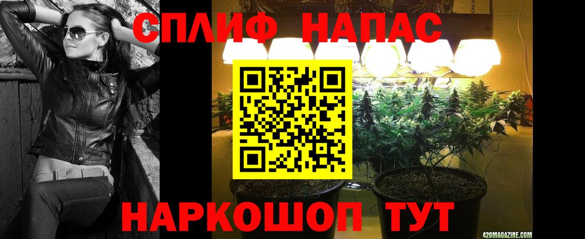 Марихуана конопля  Бошки Шишки тримм  Вход с VPN  Геленджик 